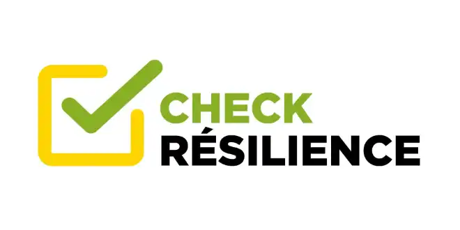 Resilienz Check